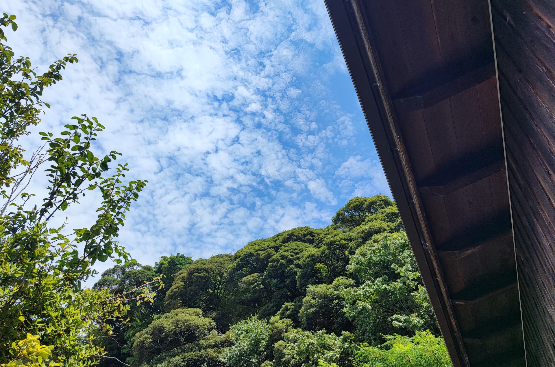 五感に響く美しい住まいの設計|景色に溶け込む外観と自然素材の内装づくり【茨城・千葉 注文住宅】