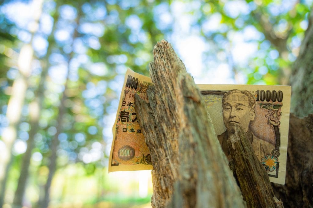 新緑を背景にした一万円札