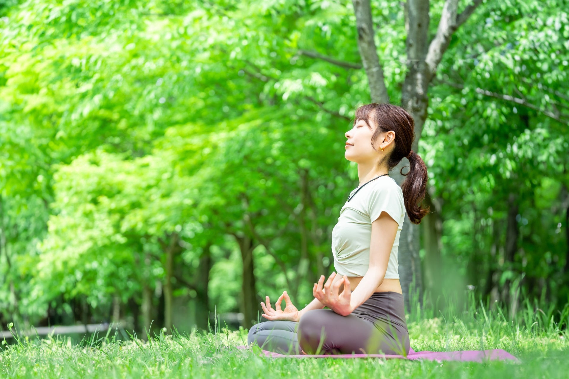エコハウスが健康住宅である理由|高断熱×自然素材で家族の健康寿命を延ばす【茨城・千葉 注文住宅】