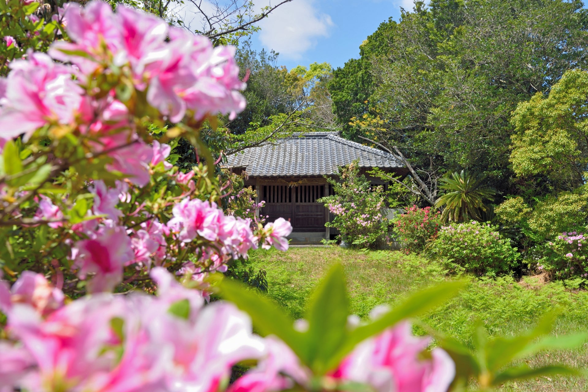 注文住宅の費用計画と優先順位の決め方｜価値観から始める後悔しない家づくり【茨城・千葉 注文住宅】