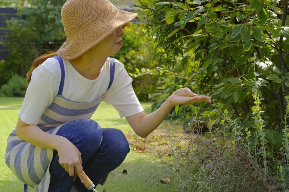 帽子をかぶり草木に手を伸ばす人