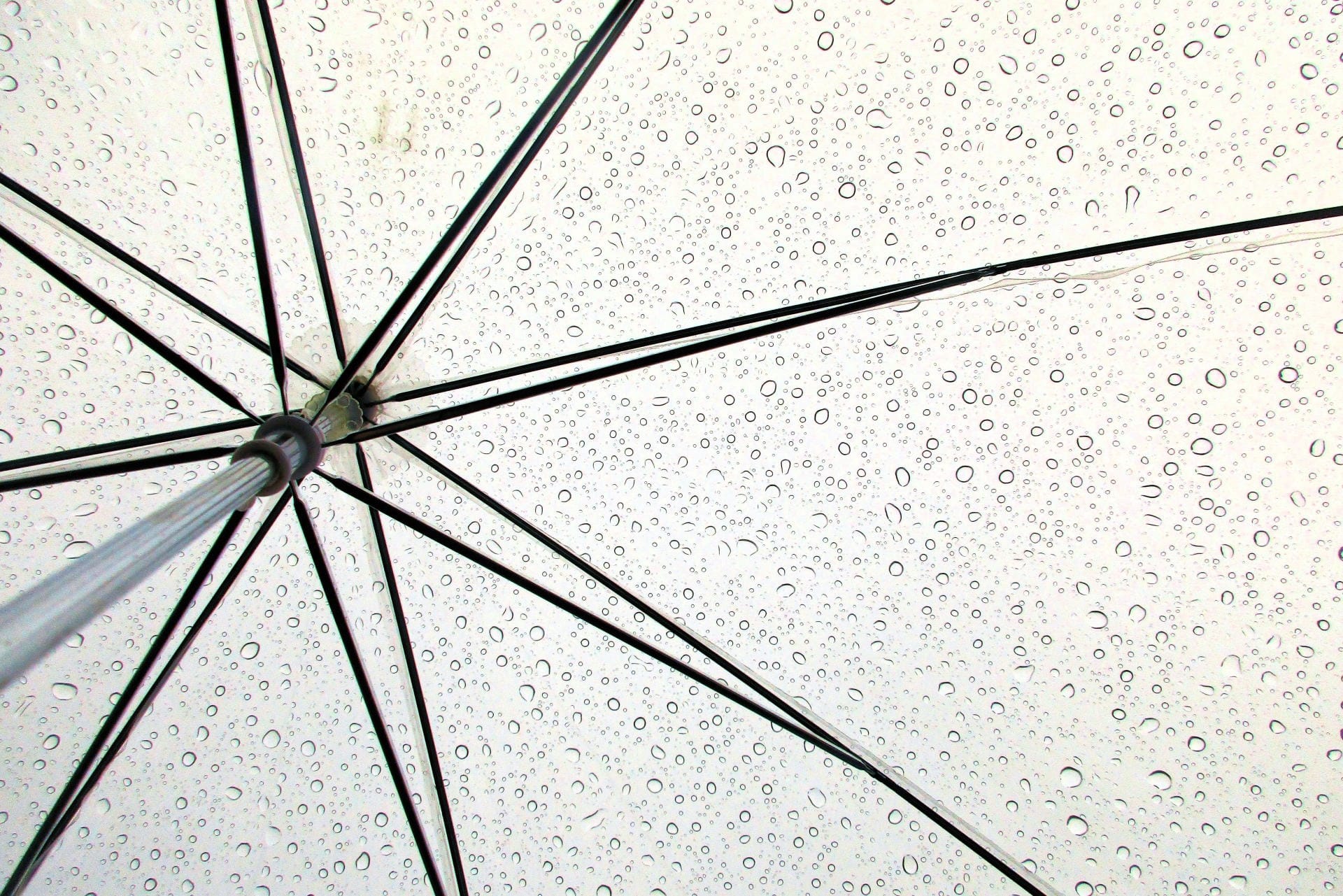 雨粒がついたビニール傘を内側から見上げた骨組み